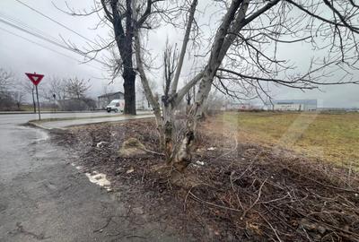 Teren de 1578 mp, în Micro 11 - 1