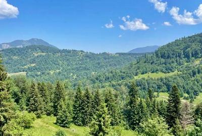 Imobil NOU, in inima muntilor, 24 apartamente - 4