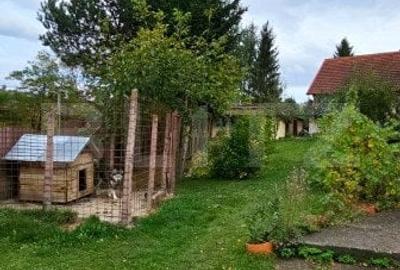 Casa deosebita, 3000 mp teren, 6 camere zona linistita - Barcani - 5