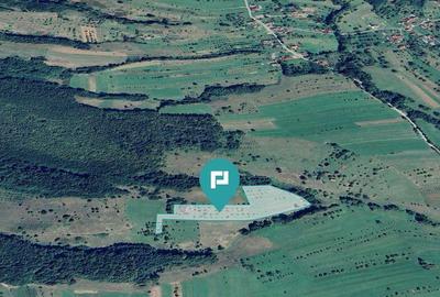 Teren de 92294 mp, în Hălmagiu - 2