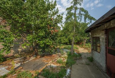 CHIAJNA - CASA RENOVABILA 129 MP, LOT 690 MP! - 18