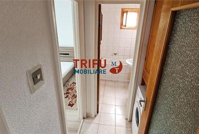 Apartament cu 2 camere semidecomandat în Cetate - 2