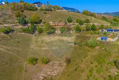 Teren de 6014 mp, în Holbav - 4