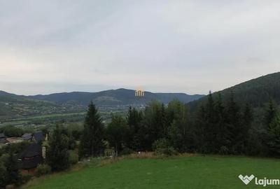 Teren de 5023 mp, în Voroneț - 8