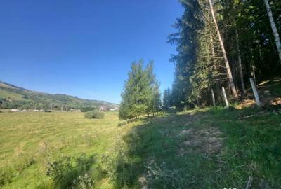 Teren de 5000 mp, în Gura Humorului - 6