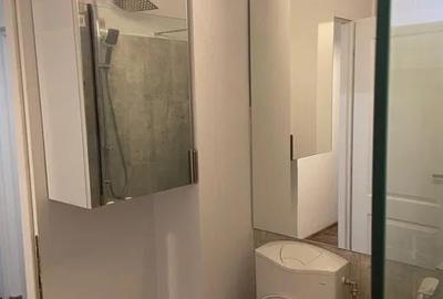 Inchiriere Apartament 2 camere decomandat Drumul Taberei-Favorit Inchiriere Apartament 2 camere decomandat Drumul Taberei-Favorit - 7