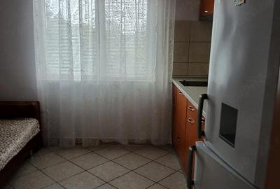 Garsonieră nedecomandată în Șagului - 2