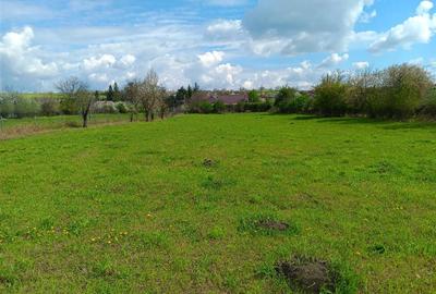 Casă individuală cu 4 camere cu Teren 4239 Mp în Bădeni - 5