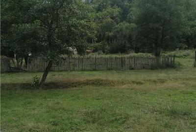 Teren intravilan - Berevoiesti - Arges - 2