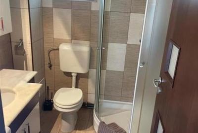 Pentru 3 luni!! Garsoniera, priveliste frumoasa, pet friendly, loc parcare, Sche - 8