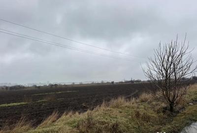 Teren în Lumina - 6