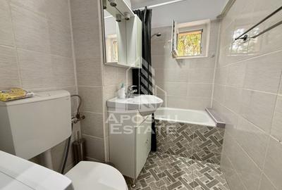 Apartament cu o camera, renovat, etajul 2, zona Sagului - 5