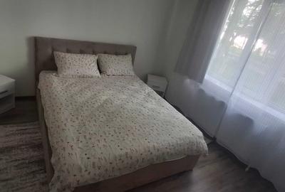 Apartament cu 2 camere semidecomandat în Central - 4