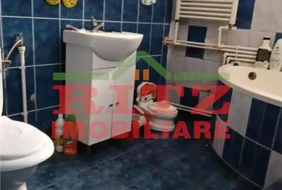 CASA SI SPATIU COM.DANEASA-PESTRA - 10