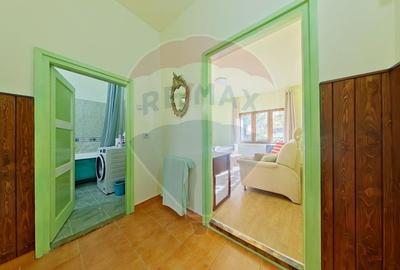 Casa individuala, 3 dormitoare, curte, langa UMF - 9