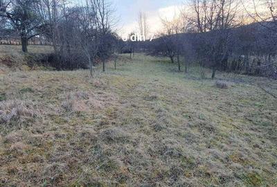 Teren de 50 mp, în Iara - 3