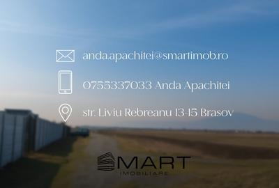 Teren Intravilan 160.000 mp Harman - 3