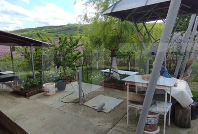 Casa+ casa vacanta, 2200 mp livada, Schitu-Duca - 11
