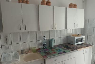 Apartament cu 2 camere decomandat, mobilat în Dristor - 9