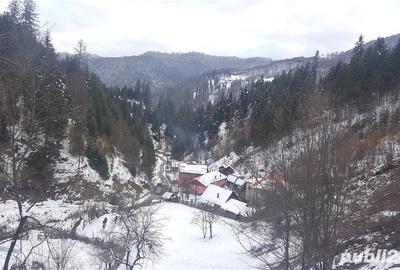 Teren de 5062 mp, în Voineasa