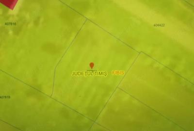 Teren de 990 mp, în Central - 1