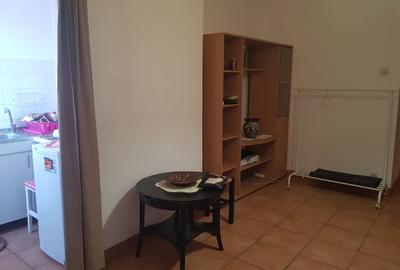 Inchiriere garsoniera metrou Dristor, etaj intermediar, 270 euro - 5
