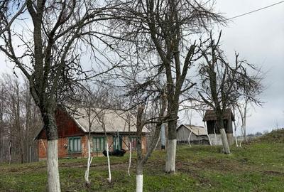 Casă cu 3 camere în Stăncilova - 1