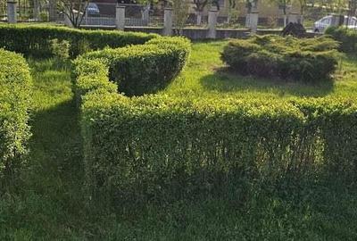 Casa in comuna Baita - 20