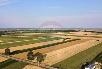 Teren Vanatori / Strada DJ204E Spre Mircesti - 2