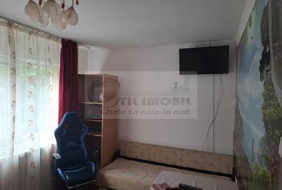 Apartament 3 Camere Podul de Piatra - 550 euro - 21