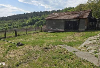 Casă cu 3 camere în Bejan - 5
