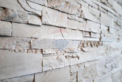 Vanzare - vila 4 camere de complet mobilata, str. Caisului - Dobroesti - 28