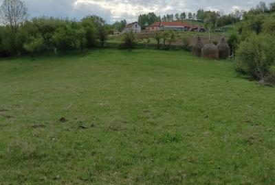 Spațiu comercial, în Luncani - 3