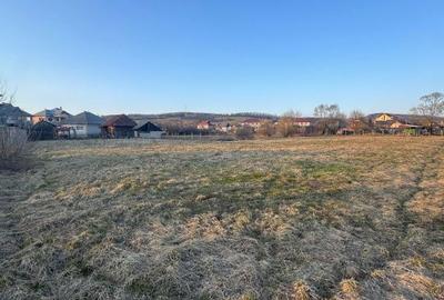 Casă cu 3 camere cu Teren 4000 Mp în Central - 9