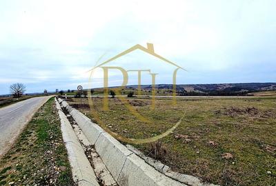 Teren agricol extravilan de 25000 mp, în Secaș - 5