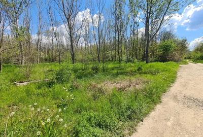 Teren de vanzare / Dem Radulescu - 9