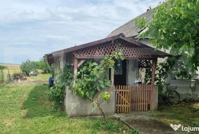 Casă cu 3 camere cu Teren 670 Mp în Central - 7