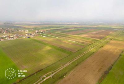 Parcele de 500 mp in Livada, cu toate utilitatile la strada Parcele de 500 mp in Livada, cu toate utilitatile la strada - 5