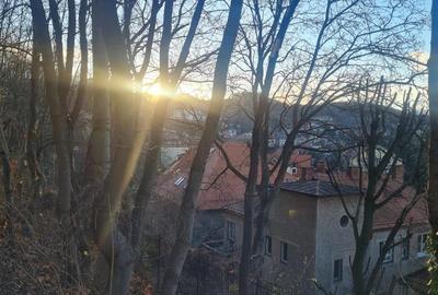 3D! Regim vila, view panoramic, structura decomandata, etaj 2, Central, Brasov - 33