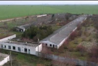 Sat Mosneni - Comuna 23 august teren intravilan 28000 mp - 3