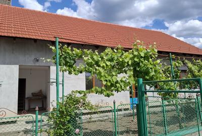 Casă individuală cu 7 camere cu Teren 104 Mp în Nădlac - 4