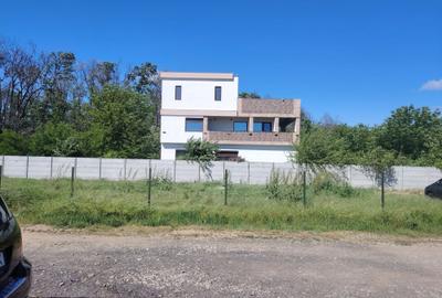 Casă cu 4 camere în Alunișu - 4