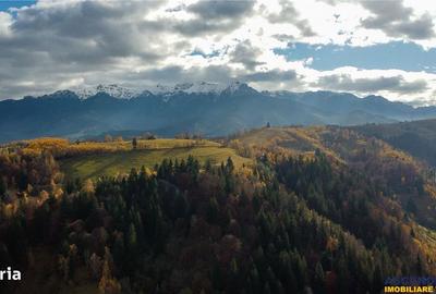 Spațiu comercial, în Drumul Carului - 5