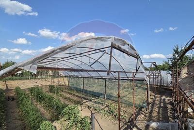 Casă cu 5 camere cu Teren 1233 Mp în Salonta - 12