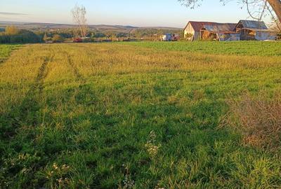 Casă cu 3 camere cu Teren 2600 Mp în Săldăbagiu de Munte