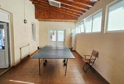 Proprietate multifunctionala, com.D-va Rosie,casa+spatiu comercial+teren - 13