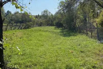 Vand casa de lemn cu gradina si teren de casa in mijlocul tarii, in sat Jimbor, jud.Brasov - 2