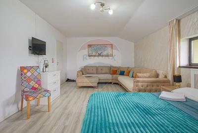 Vila cu 5 apartamente inchiriate in regim hotelier, Stupini, Brasov - 19