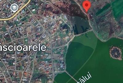 Teren la lac 2 loturi Calarasi, Cascioarele - 2