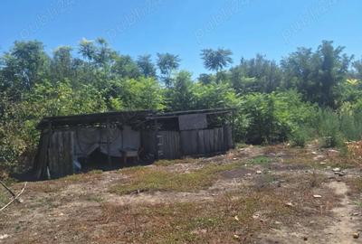 Casă cu 3 camere cu Teren 1100 Mp în Seaca de Câmp - 10